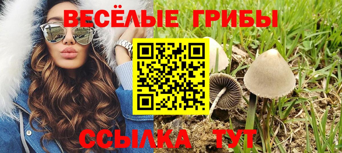 Псилоцибиновые грибы Cubensis  Галлюциногенные грибы ЛСД  Вход с VPN  купить наркоту  Арсеньев 