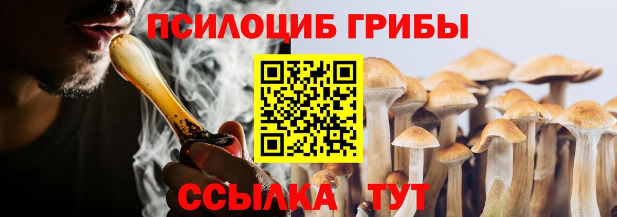 Псилоцибиновые грибы мухоморы Арсеньев